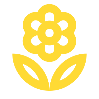 Creative Studio icon